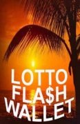 Lotto Flash Wallet by Stephen Tucker