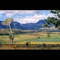 #AD546 Bighorn Country by Arthur A. Dailey