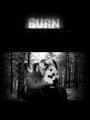 Burn by Daniel Madison