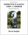 Improved Walking Thru A Mirror by Devin Knight