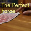 Read more about The Perfect Force by Unnamed Magician