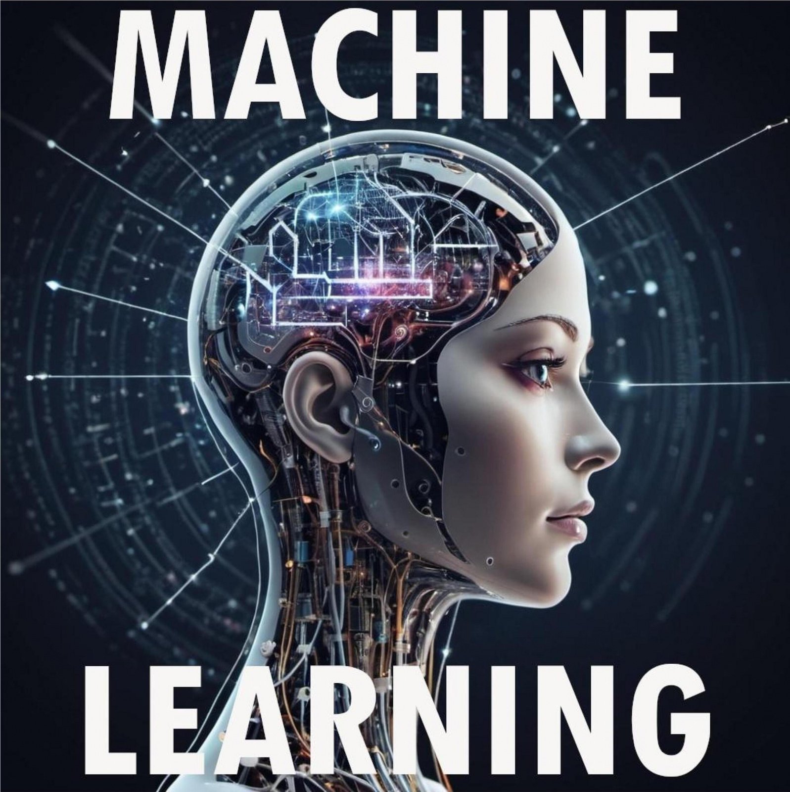 Machine Learning by Vincent Gagnieux : Lybrary.com