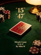 15 and 47 Sandwich by Miku W.