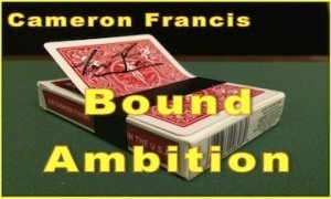 Bound Ambition by Cameron Francis