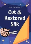 Cut and Restored Silk by Phoa Yan Tiong