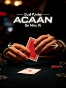 Dual Pointer ACAAN by Miku W.