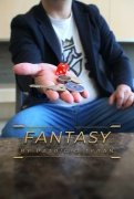 Read more about Fantasy by Patricio Terán