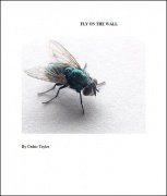 Fly On The Wall by Cedric Taylor