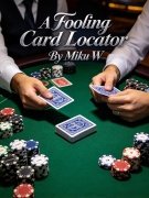 Read more about A Fooling Card Locator by Miku W.
