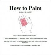 How To Palm by Larry Brodahl