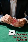 Impromptu Cut Four Aces by Miku W.
