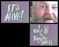 It's Alive: The World of Tony 'Doc' Shiels by Tony Shiels