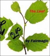 The Leaf by Ralf (Fairmagic) Rudolph