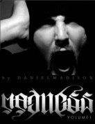 Madness Volume 1 by Daniel Madison