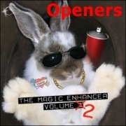 Magic Enhancer 2: Openers by Robert Haas
