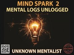 Mind Spark 2: Mental Logs Unlogged