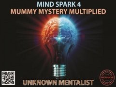 Mind Spark 4: Mummy Mystery Multiplied by Unknown Mentalist