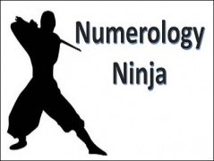 Numerology Ninja by Jesse Lewis