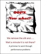Oops. Now What? by Brian T. Lees