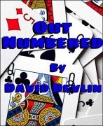 Out Numbered by David Devlin