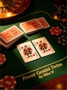 Power Gemini Twins by Miku W.
