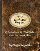 The Safwan Papers by Bryn Reynolds
