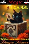S.C.A.N.G.: la Sola Carta Al Numero Giusto by Biagio Fasano
