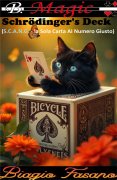Schrödinger's Deck (Italian) by Biagio Fasano