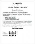 Scripted #23: vanishing wand (shell) by Larry Brodahl