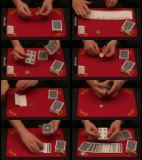 Seeker Coin by Mark Leveridge