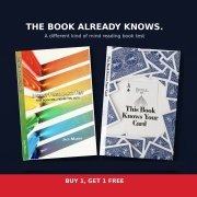 Read more about This Book Will Figure You Out: bundle by Jason Messina