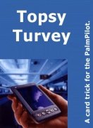 Topsy Turvy by Lorin Wiener