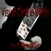 Visual Card in Bottle by Ralf (Fairmagic) Rudolph
