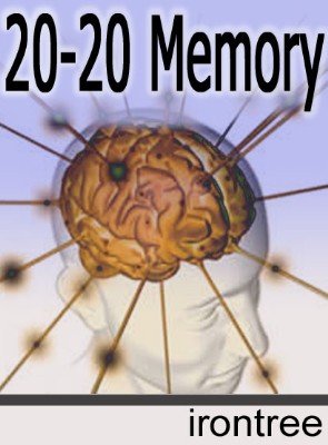 20-20 Memory by Jack Dutton