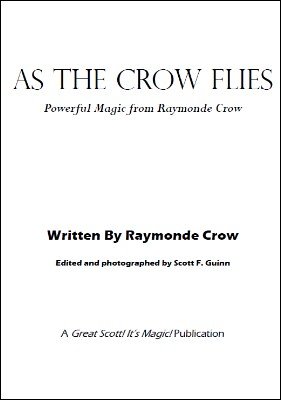 As The Crow Flies by Raymonde Crow