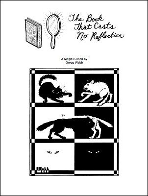 The Book That Casts No Reflection by Gregg Webb