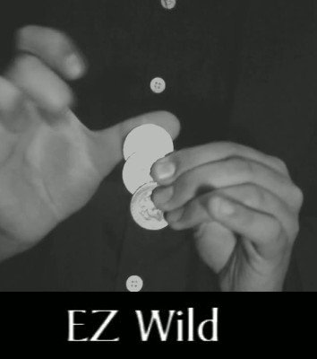 EZ Wild by MS