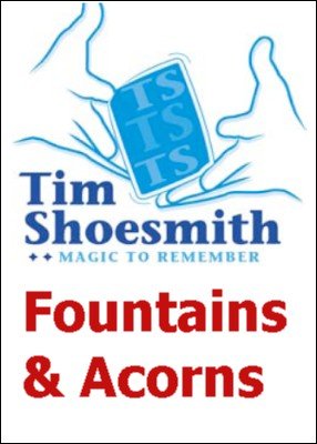 Fountains and Acorns for big people by Tim Shoesmith