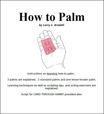 How To Palm by Larry Brodahl