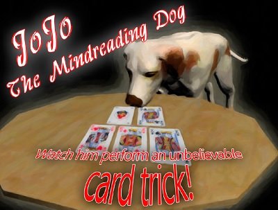 JoJo the Mindreading Dog by Dave Arch