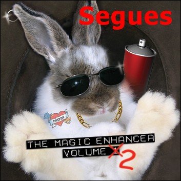 Magic Enhancer 2: Segues by Robert Haas