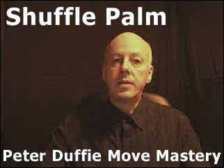 Shuffle Palm by Peter Duffie