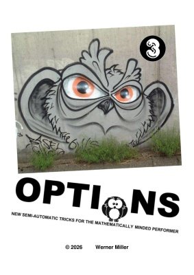 Options 3 by Werner Miller
