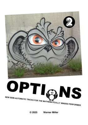 Options 2 by Werner Miller