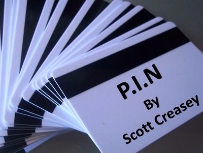 P.I.N by Scott Creasey