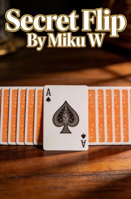 Secret Flip by Miku W.