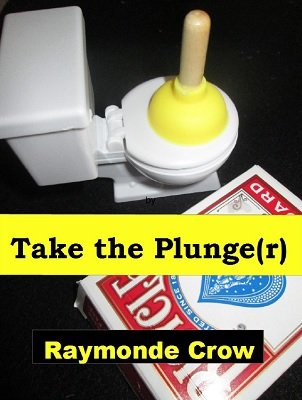 Take the Plunge(r): Tiny Plunger Magic by Raymonde Crow