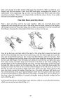 Additional image view 7