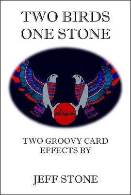 Two Birds One Stone by Jeff Stone