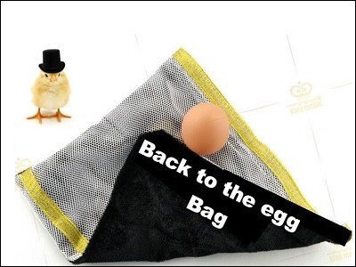 Which Came First: The Chicken or the Egg Bag? by Michael Lyth